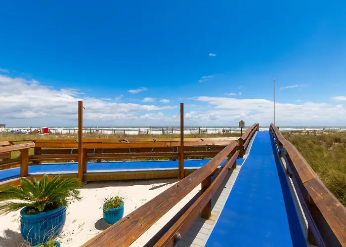 Apartment San Carlos 1208